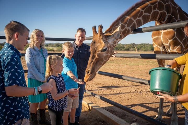 Up-Close Giraffe and Rhino Encounter at Longneck Manor, Fredericksburg