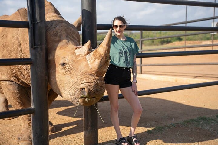 Up-Close Giraffe and Rhino Encounter at Longneck Manor, Fredericksburg photo 3