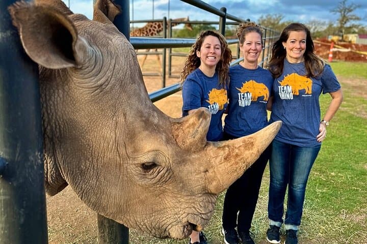Up-Close Giraffe and Rhino Encounter at Longneck Manor, Fredericksburg photo 6