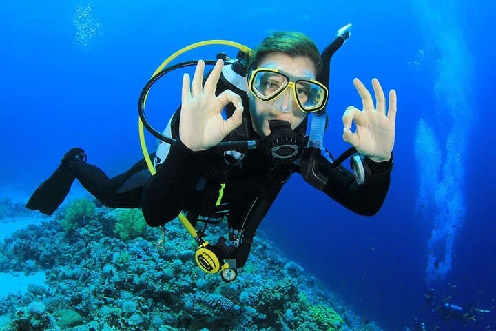 Two-Tank Scuba Dive from Puerto Aventuras: Explore the Mesoamerican Reef photo 5