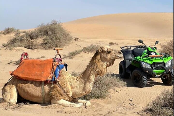 Quad Biking & Sandboarding at Agadir’s Tifnit Dunes: Half-Day Mini-Desert Adventure photo 5
