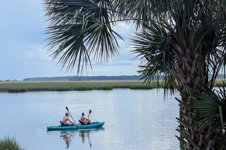 Paddle the Timucuan Salt Marsh: Amelia Island Guided Kayak & SUP Tour