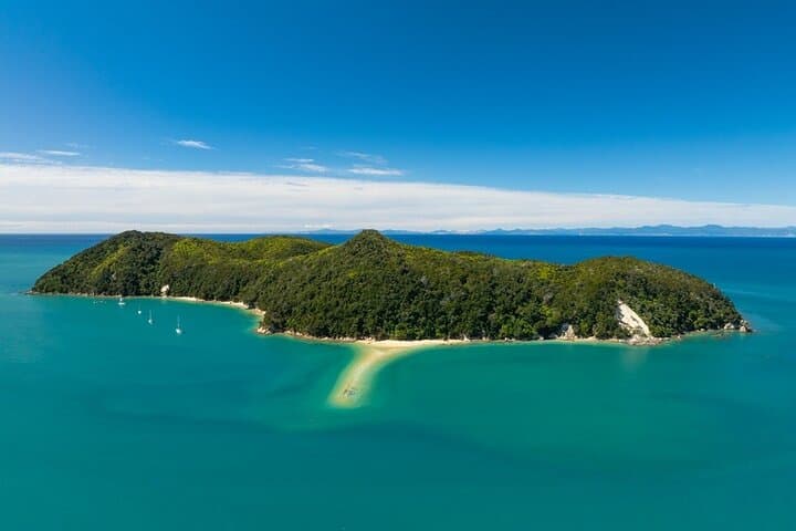 Abel Tasman Kayak & Pitt Head Nature Loop — Guided Kayak and Unguided Walk from Marahau photo 6
