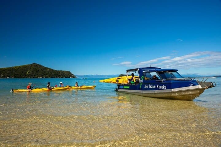 Abel Tasman Seal Sanctuary Kayak Tour from Marahau photo 5