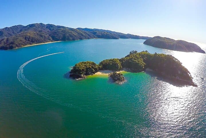 Abel Tasman Seal Sanctuary Kayak Tour from Marahau photo 6