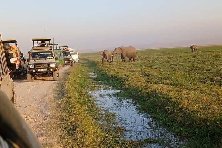 Two-Day Guided Amboseli Safari: Kilimanjaro Sunrises & Elephant Encounters photo 3