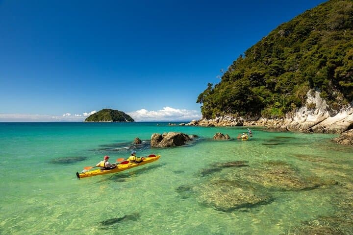 Two Gods Guided Kayak and Unguided Walk in Abel Tasman National Park photo 3