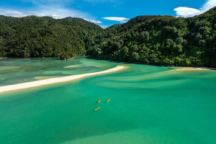 Two Gods Guided Kayak and Unguided Walk in Abel Tasman National Park photo 4