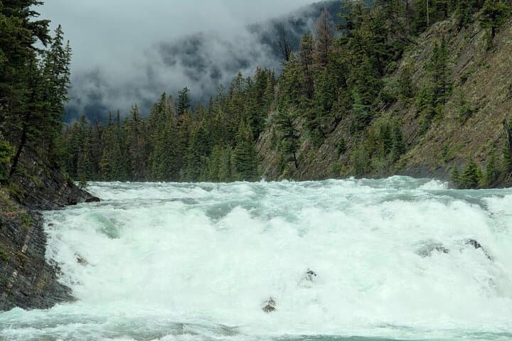 Custom Banff & Icefields Private Tour: Build Your Own Rockies Day Trip photo 3