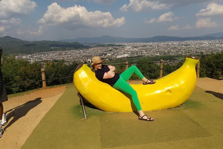 Private Arashiyama Tour — Tenryuji Temple, Bamboo Grove & Iwatayama Monkey Park photo 2