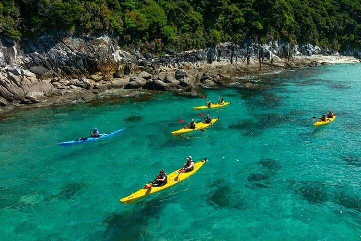 Abel Tasman Tonga Island Marine Reserve: Full-Day Guided Sea Kayak Adventure photo 4