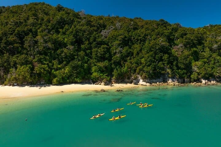 Abel Tasman Kayak & Pitt Head Nature Loop — Guided Kayak and Unguided Walk from Marahau photo 5