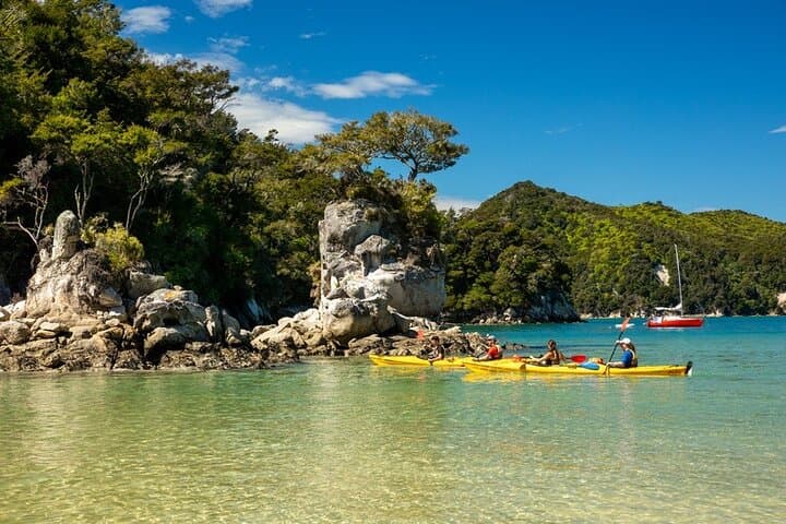 Abel Tasman Kayak & Pitt Head Nature Loop — Guided Kayak and Unguided Walk from Marahau photo 2