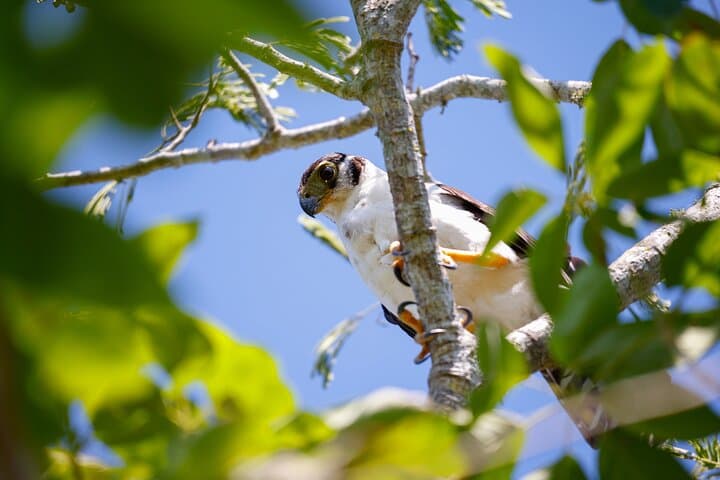 Explore the Puuc Route: Uncharted Mayan Ruins Day Hike from Mérida photo 3