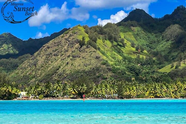 Private Moorea Island Boat Tour with Lunch and Snorkeling photo 5