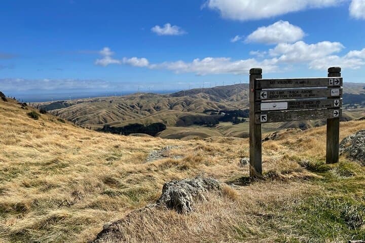 Wild Skyline Guided Hike: Makara Road to Khandallah, Wellington photo 3