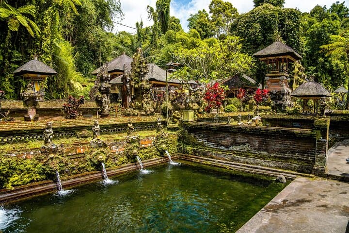 Ubud Waterfalls, Rice Terraces & Temple: Private Day Tour for Photographers photo 3