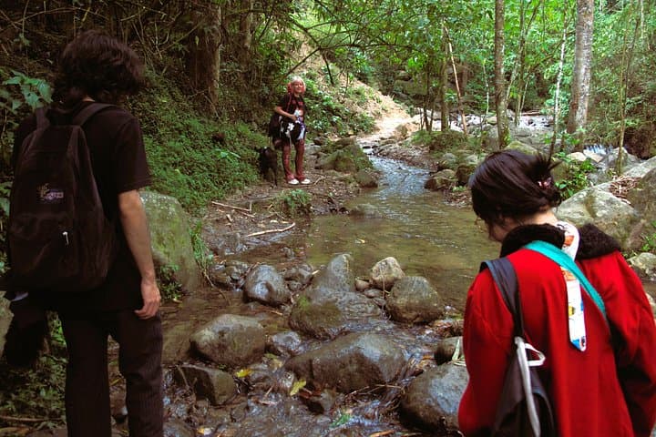 Agroecological Farm Tour at El Salado: Farm-to-Table Day Trip from Medellín