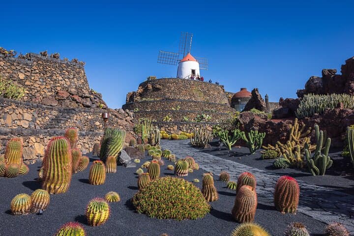 Lanzarote Private Tour: Explore César Manrique’s Volcanic Art and Natural Wonders photo 2