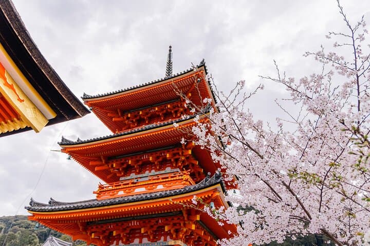 Kyoto UNESCO Tour: Full-Day Walking Journey Through Fushimi Inari, Kiyomizu-dera & Nijo Castle