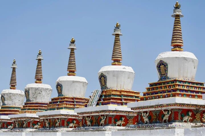 Private Day Trip to Ta’er Monastery and Lake Kokonor (Qinghai Lake) — From Xining photo 2