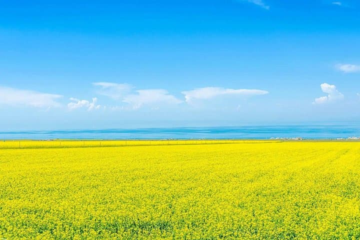 Private Day Trip to Ta’er Monastery and Lake Kokonor (Qinghai Lake) — From Xining photo 4