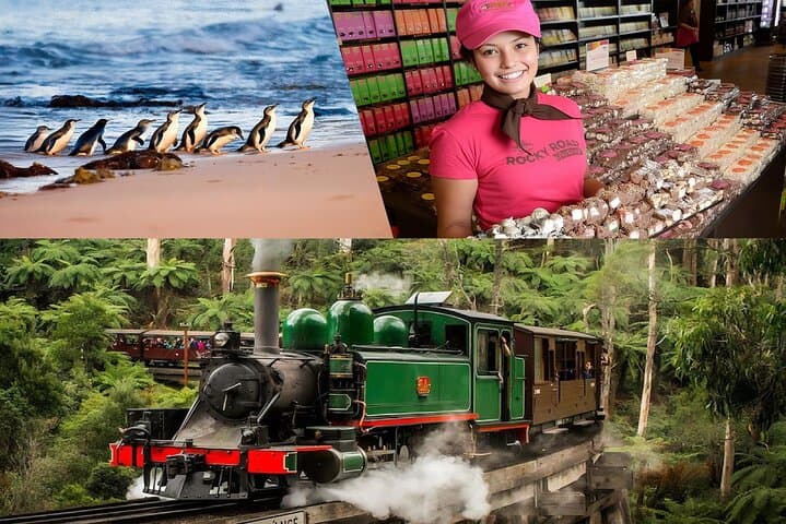 Melbourne Day Tour: Puffing Billy Steam Train, Yarra Valley Wineries & Phillip Island Penguin Parade