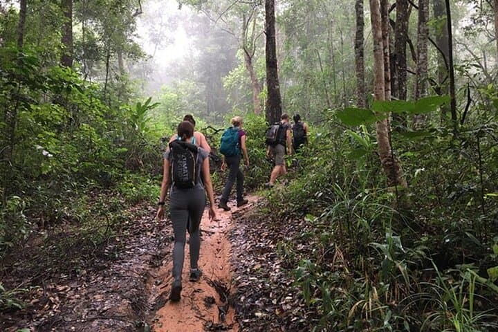 Chiang Mai Nature Trekking: Doi Suthep Pilgrim Path & Hmong Village Tour photo 1