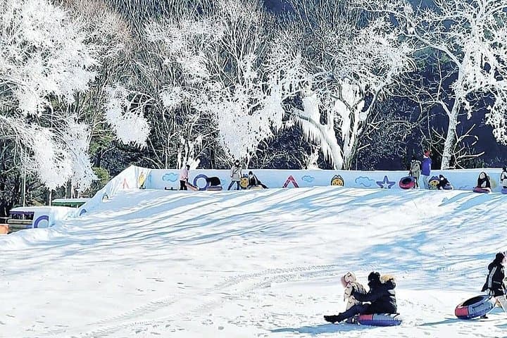 Busan Winter Day Trip: Kookmin Healing Park with Gyeongju or Daegu Highlights photo 4