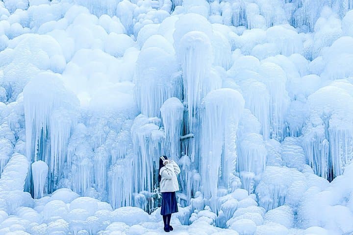 Busan Winter Day Trip: Kookmin Healing Park with Gyeongju or Daegu Highlights photo 2
