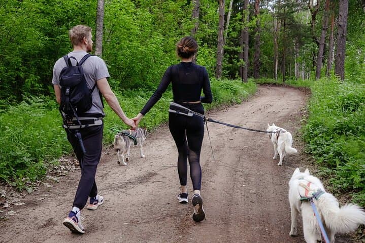 Husky Trekking Near Vilnius: Forest Walks with Sled Dogs in a Natural Park photo 3