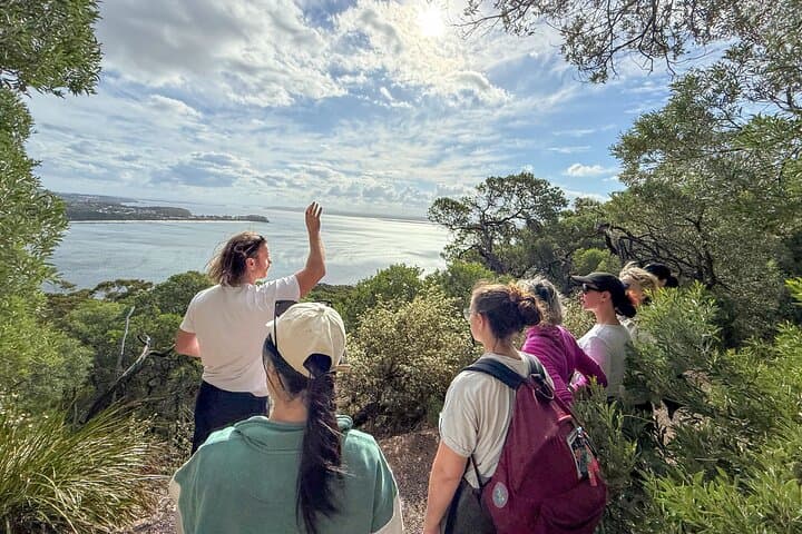 Port Stephens Whale Watching & Tomaree Summit Day Tour from Newcastle photo 4