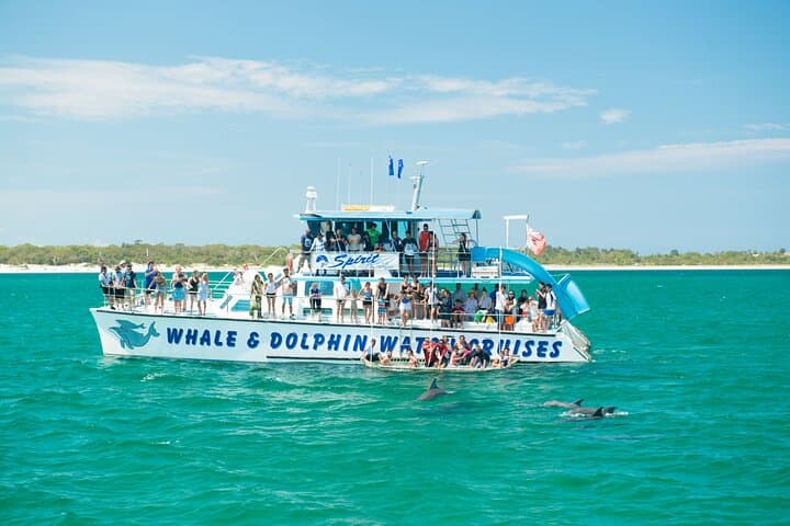 Port Stephens Animal Lovers Tour: Dolphins, Kangaroos & Sand Dunes from Newcastle photo 3