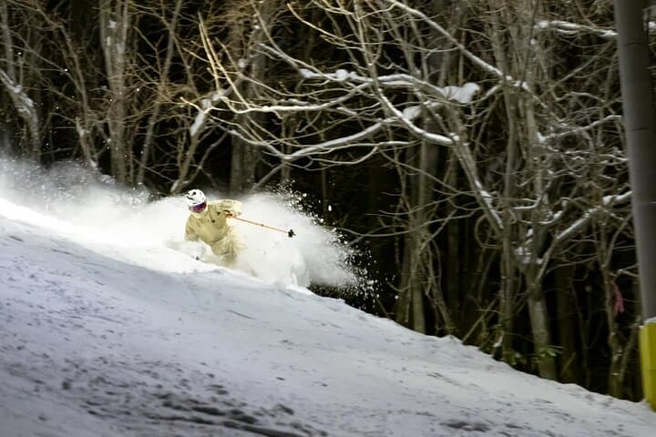 Private Full-Day Ski Tour from Nagano Station — Shiga Kogen, Nozawa & Hakuba