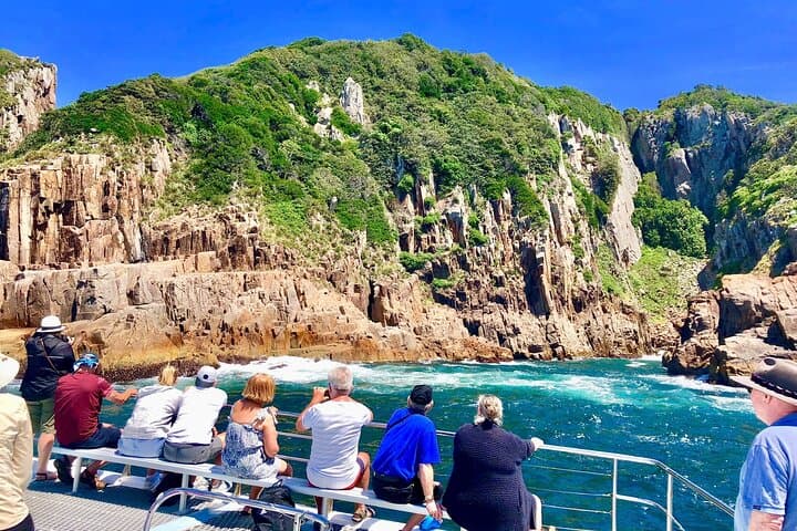 Port Stephens Whale Watching & Tomaree Summit Day Tour from Newcastle photo 4