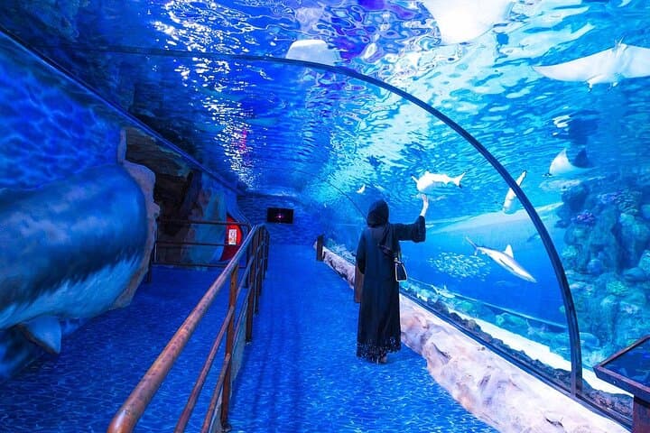Inside Dubai Aquarium & Underwater Zoo — Full Access Visitor Guide photo 2