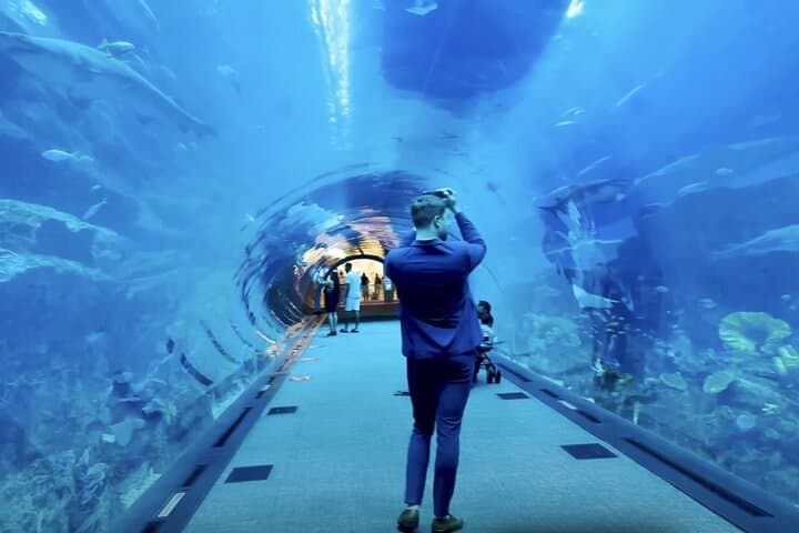 Inside Dubai Aquarium & Underwater Zoo — Full Access Visitor Guide photo 5