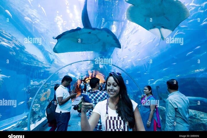 Inside Dubai Aquarium & Underwater Zoo — Full Access Visitor Guide photo 6
