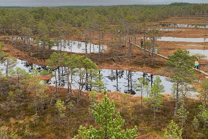 A Day in Lahemaa National Park: Palmse Manor, Viru Bog & Jägala Falls
