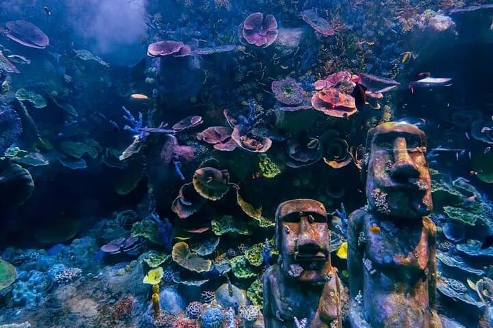 National Aquarium Abu Dhabi: Ocean Adventure Admission & Highlights photo 5