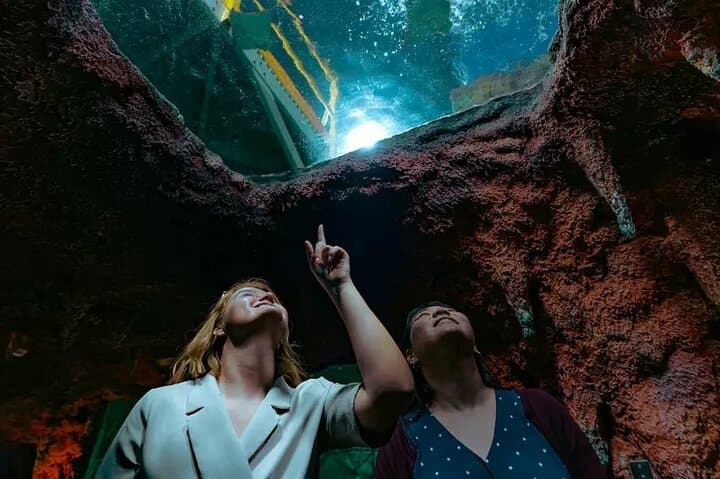 National Aquarium Abu Dhabi: Ocean Adventure Admission & Highlights