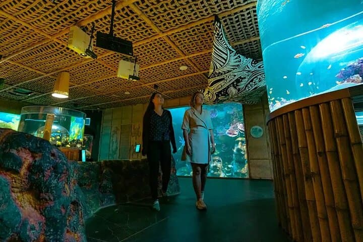 National Aquarium Abu Dhabi: Ocean Adventure Admission & Highlights photo 3