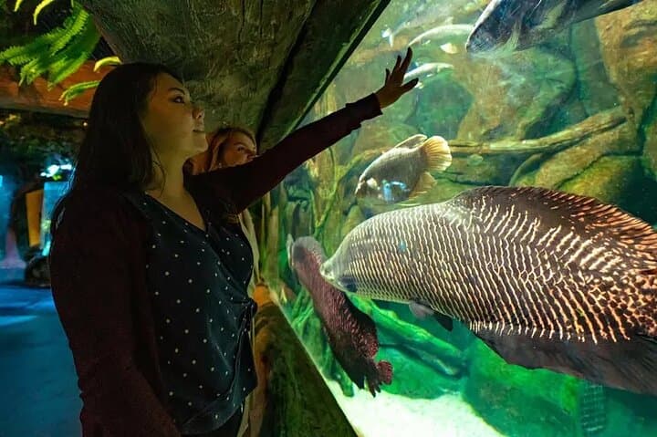 National Aquarium Abu Dhabi: Ocean Adventure Admission & Highlights photo 2