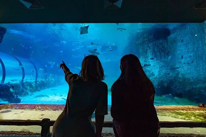 National Aquarium Abu Dhabi: Ocean Adventure Admission & Highlights photo 6