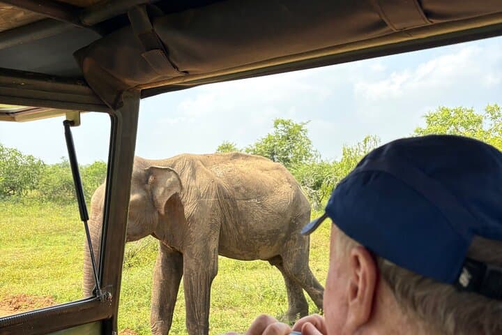 6-Day Sri Lanka Cultural, Scenic & Wildlife Highlights Tour photo 6