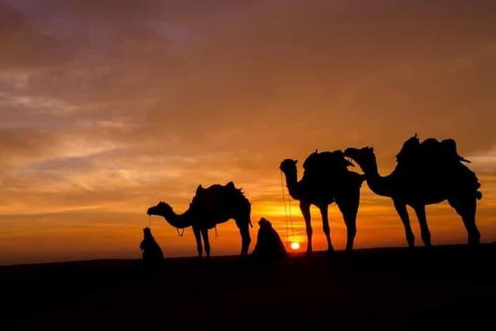 Agafay Desert Evening: Quad Ride, Sunset Camel Trek & Berber Dinner Under Stars photo 2