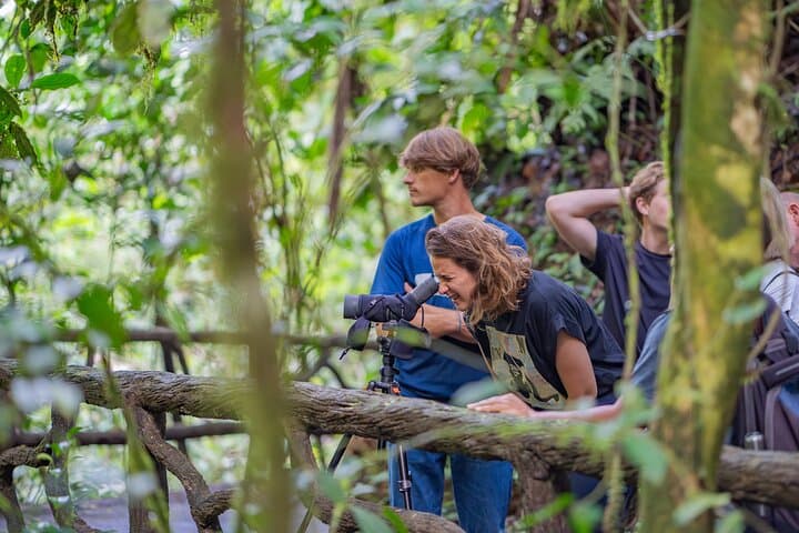 Arenal Hanging Bridges and Los Lagos Hot Springs: One-Day Adventure from San José