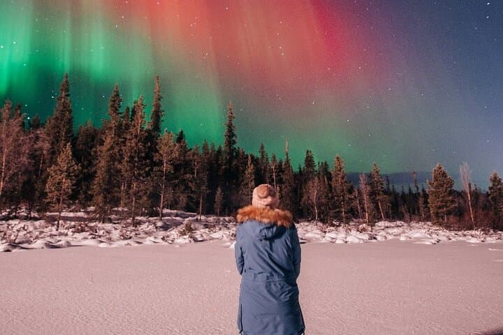 Kiruna Northern Lights Tour & Sami BBQ: Aurora Chase with Lavvu Dinner photo 4