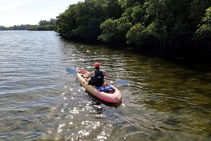 Round Island Kayak & Paddle Board Tour — Vero Beach Mangrove & Wildlife Paddle photo 3