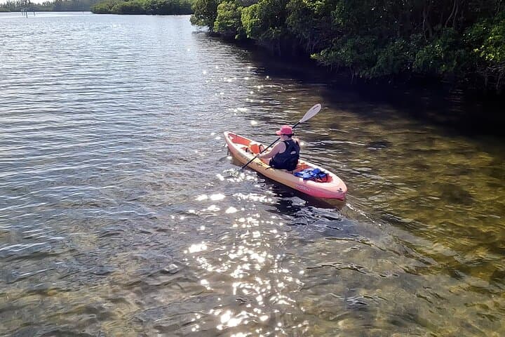 Round Island Kayak & Paddle Board Tour — Vero Beach Mangrove & Wildlife Paddle photo 4